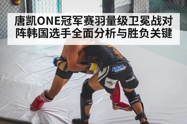 MMA wrestling takedown